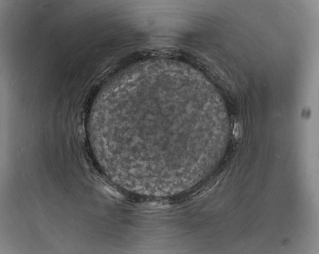 X0000093730771200711061000