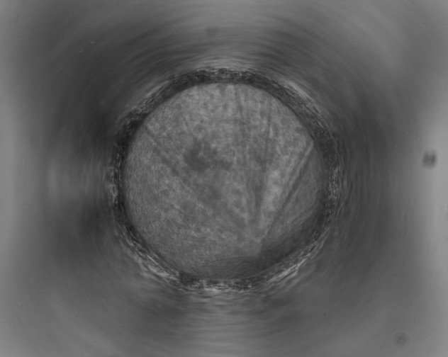 X0000093730774200711061000