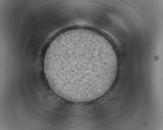 X0000093730776200711061000