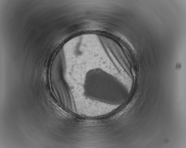 X0000093730777200711061000