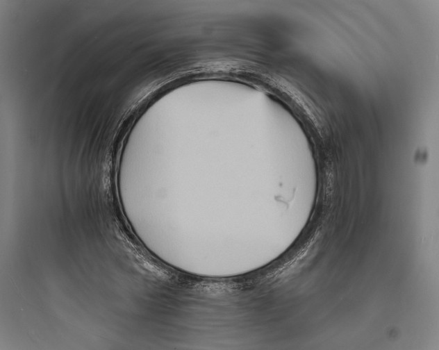 X0000093730778200711061000