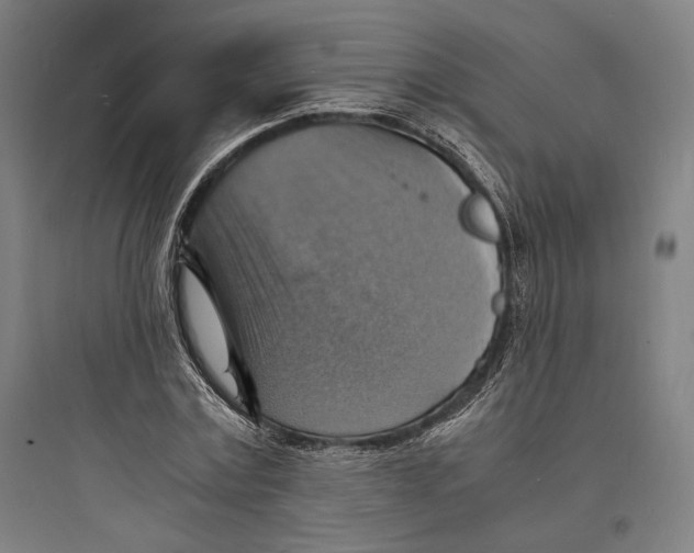 X0000093730779200711061000