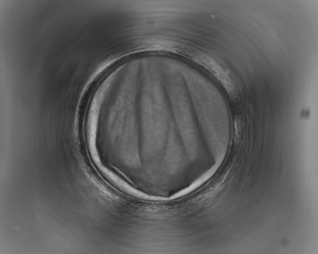 X0000093730780200711061000