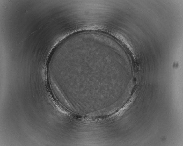 X0000093730781200711061000