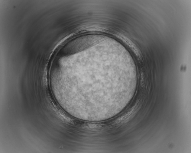 X0000093730782200711061000