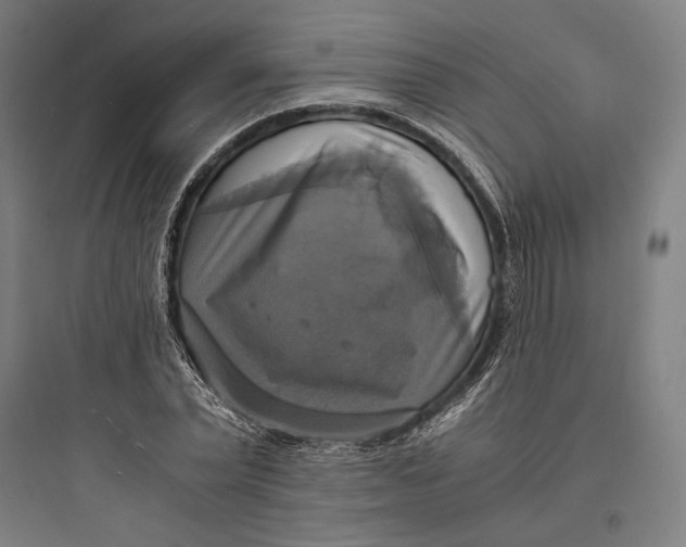 X0000093730783200711061000