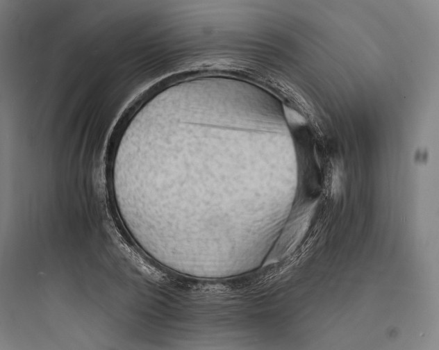 X0000093730784200711061000