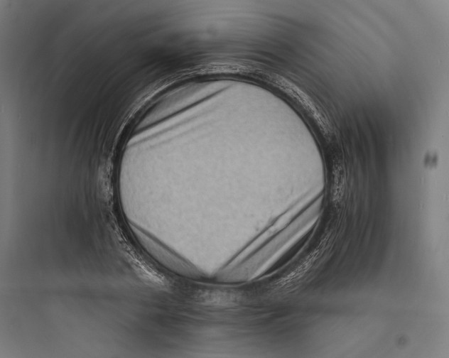 X0000093730786200711061000