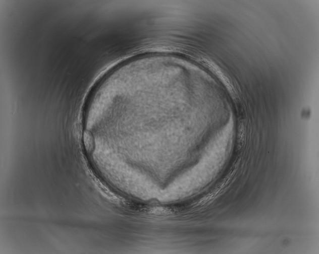 X0000093730787200711061000