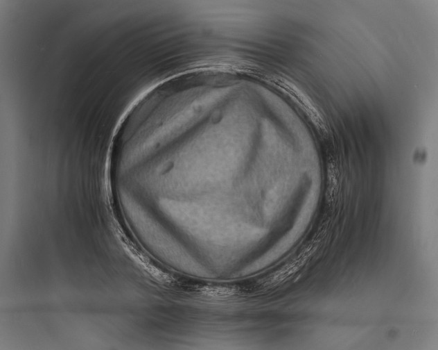 X0000093730788200711061000