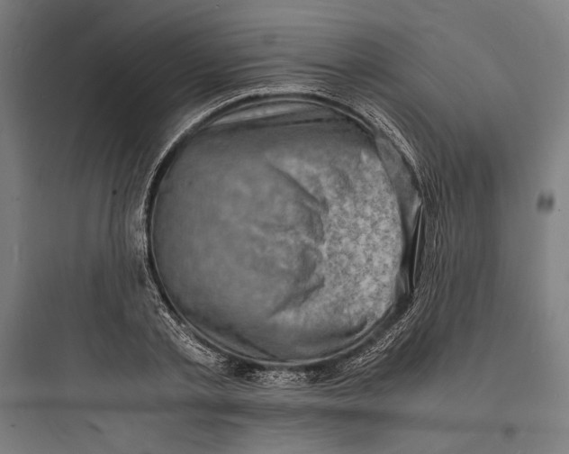 X0000093730789200711060959