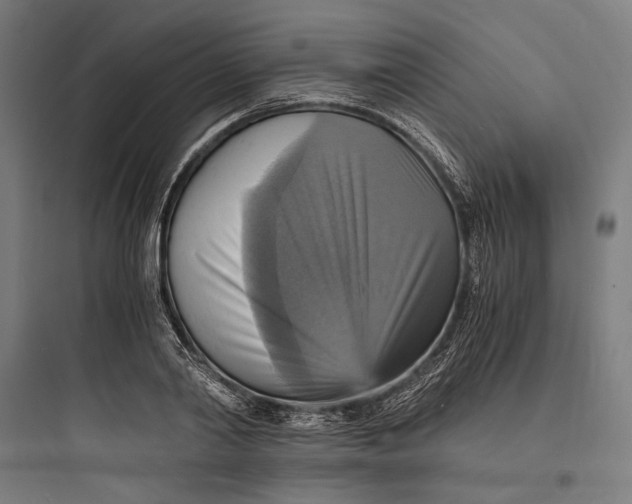 X0000093730790200711060959