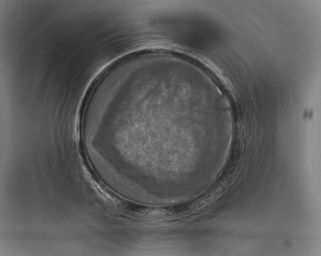 X0000093730791200711060959