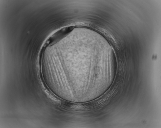 X0000093730792200711060959