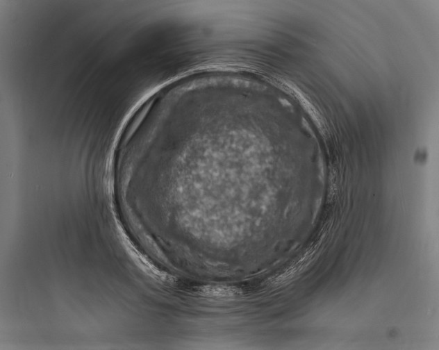 X0000093730795200711060959