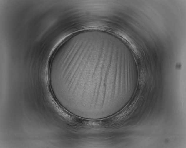 X0000093730796200711060959