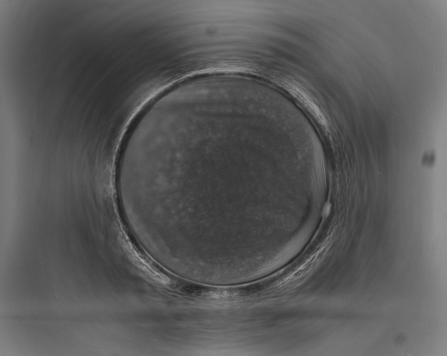 X0000093730797200711060959