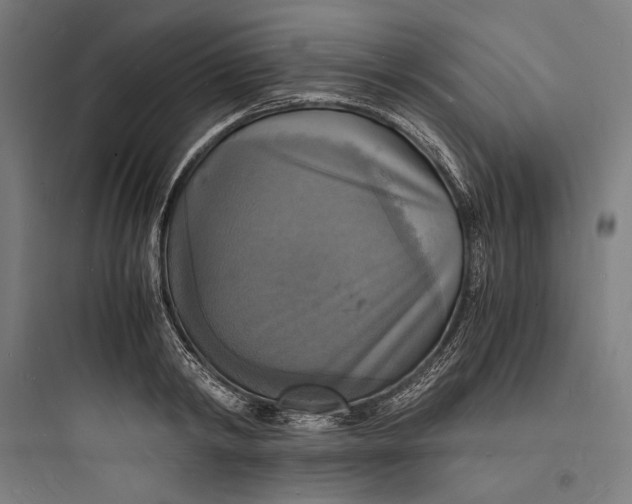 X0000093730798200711060959