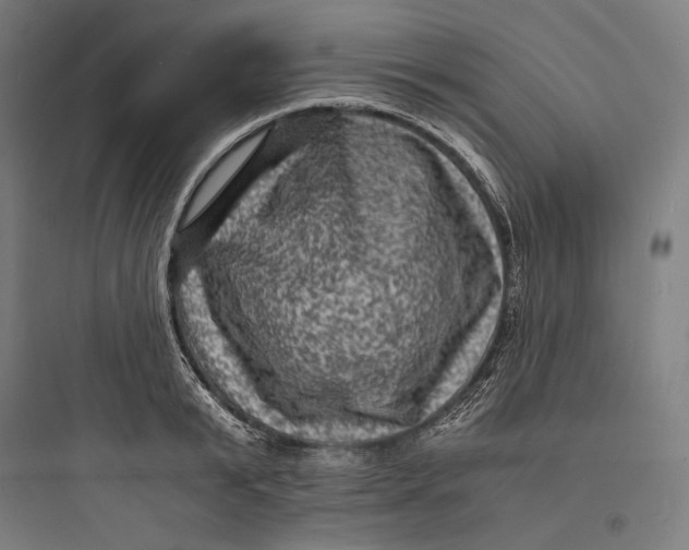 X0000093730799200711060959