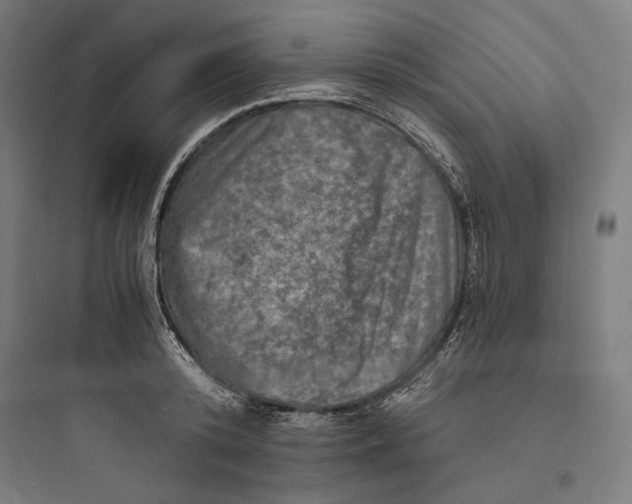 X0000093730800200711060959