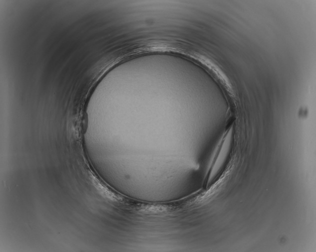 X0000093730801200711060959