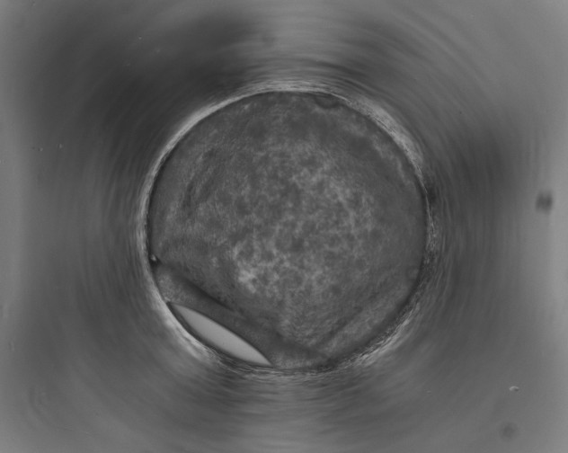 X0000093730803200711060959