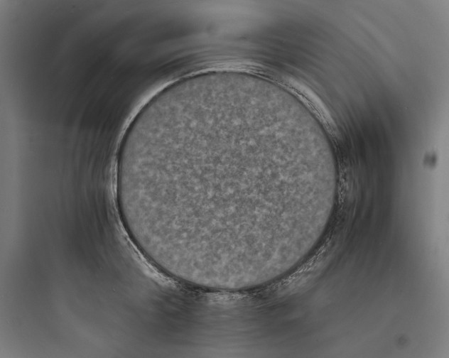 X0000093730804200711060959