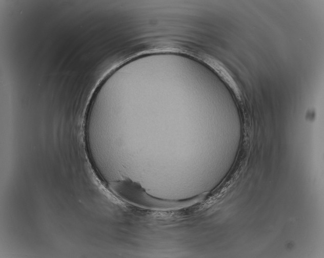 X0000093730805200711060959