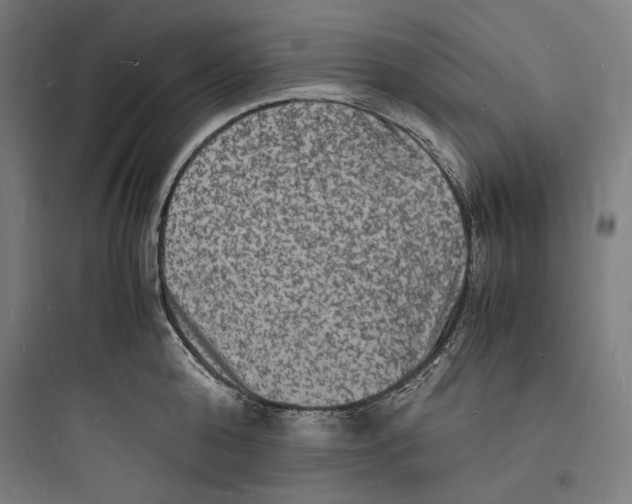 X0000093730808200711060959