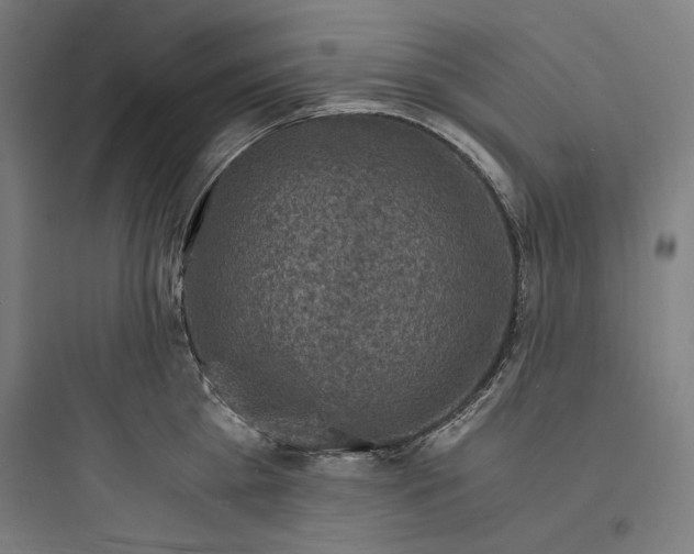 X0000093730809200711060959