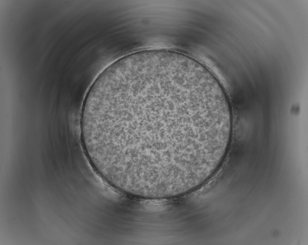 X0000093730810200711060959