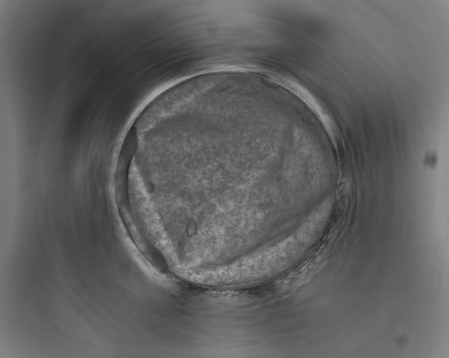 X0000093730811200711060959