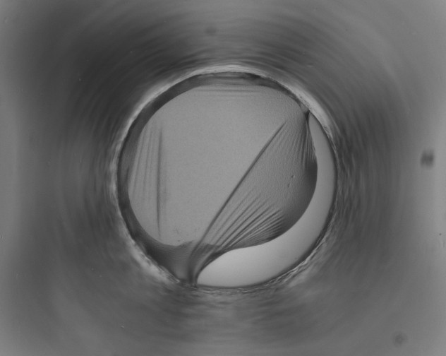 X0000093730813200711060959