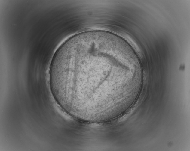 X0000093730814200711060959