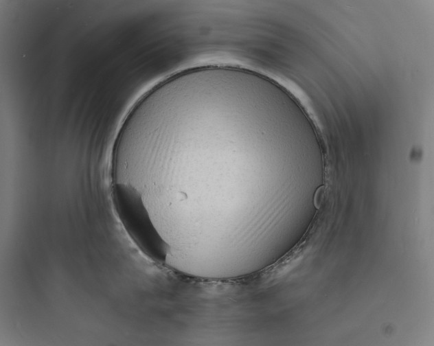 X0000093730815200711060959