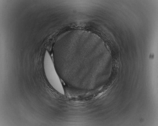 X0000093730818200711060958