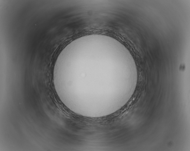 X0000093730820200711060958