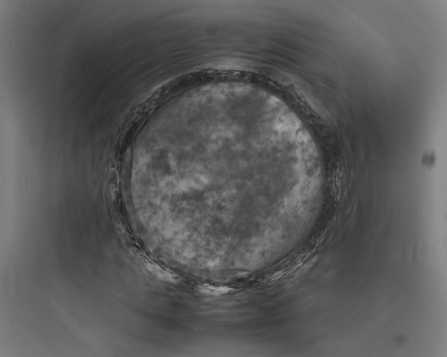 X0000093730821200711060959