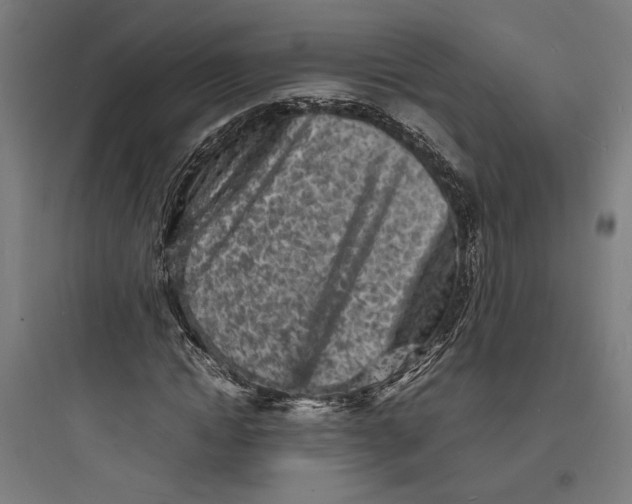 X0000093730822200711060959