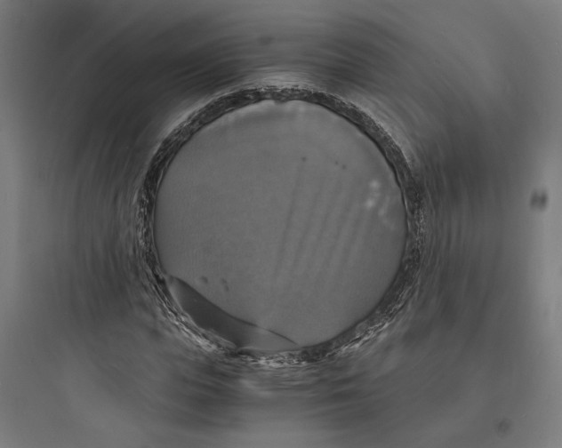 X0000093730823200711060959