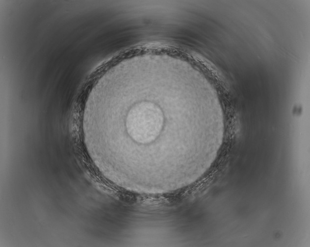 X0000093730824200711060959