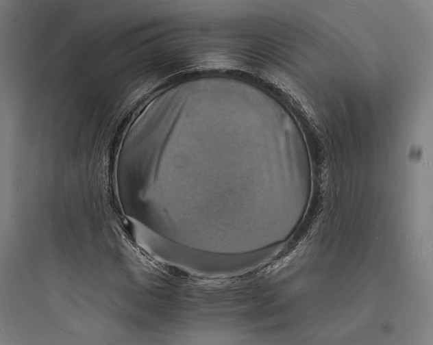 X0000093730825200711060959