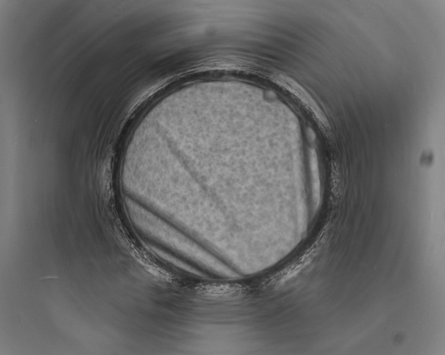 X0000093730826200711060959