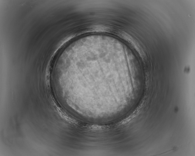 X0000093730827200711060959