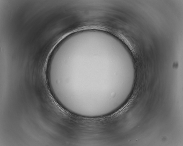 X0000093730828200711060959