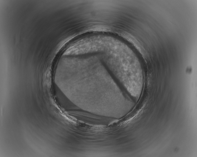 X0000093730829200711060959