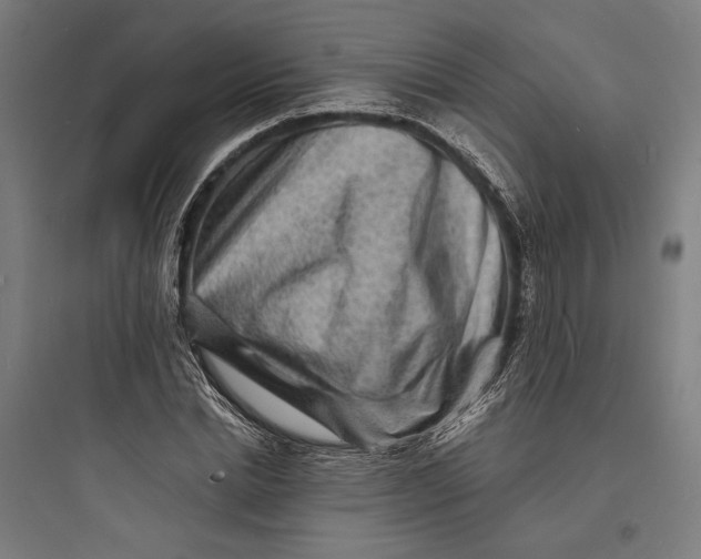 X0000093730830200711060959