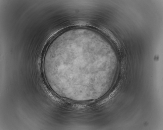 X0000093730831200711060959