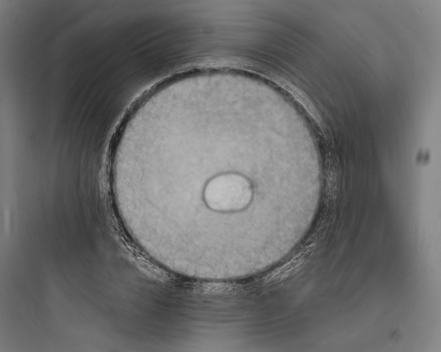 X0000093730832200711060959