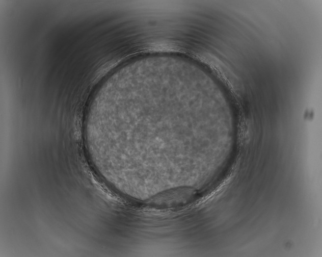 X0000093730833200711060959